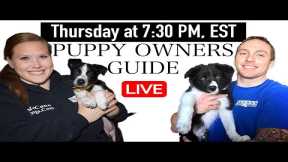 7 Things Puppy Owners Need To Know - Puppy Owners Guide