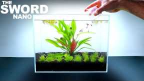 THE SWORD NANO TANK w/ Ruby Tetra Fish & Aquatic Compost (No Filter, Aquascape Tutorial)