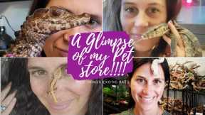 A Glimpse Of My Pet Store!! Wild Things Exotic Pets....