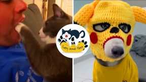 Funny Animal Videos 2022 😂   Best Dogs And Cats Videos 😺😍 #12