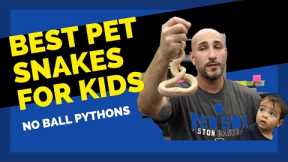 Best Pet Snakes For Kids- 2022 Update