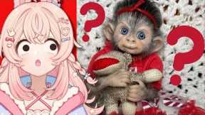 CRAZIEST Exotic Pets || Exotic Pet Trade