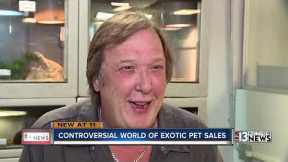 The secret life (and death) of exotic pets