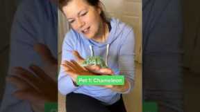 GETTING MY MOM TO HOLD MY EXOTIC PETS! #shorts