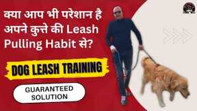 How to control your Dog pulling on Leash | Easy Dog Training in Hindi | Door Manners | Sit and Walk