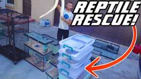 MASSIVE REPTILE RESCUE!! WHAT did we SAVE?!