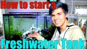 How to Start a Freshwater Aquarium | Everything You Need to Know