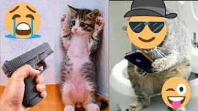 FUNNY ANIMALS - Funny Cats / Dogs Funny animal videos / Best Videos of December 2022