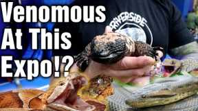 I Found INSANE Reptiles At This Reptile Expo