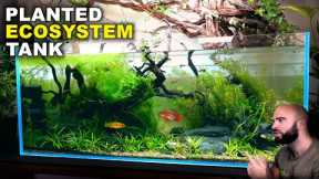 Aquascape Tutorial: EPIC 4ft NO WATER CHANGE Ecosystem Aquarium (How To: Step By Step Guide)
