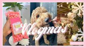 Vlogmas: Sneaker tour, dog training tips, WARNING DO NOT BUY THIS HAIR!