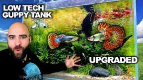Upgrading My LOW TECH Guppy Aquarium | Rainbow River & NO FILTER ENDLER Tank