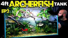 Building An EPIC 4ft Archerfish Paludarium / Aquaterrarium (EP2)