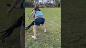 Check Out This Puppy’s “DOWN” Command!!
