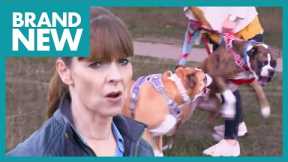 Tyson The Boxer Lives Up to His Name! | Full Episode | It's Me or the Dog