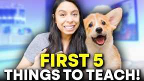 5 MOST Important Things to Train 👉 Start here for faster results!
