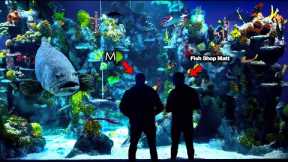 EPIC Road Trip!! MONSTER FISH at Bristol Aquarium (Day 1: Netherlands Tour)