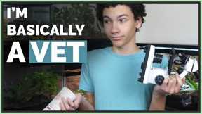 I'm Basically an Exotic Vet! - Testing My Reptile's Fecals