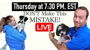 7 Puppy Training Shortcuts That Make Things WORSE!