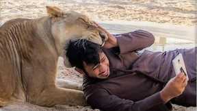 Exotic Pets In Dubai