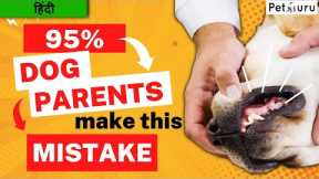 Don't Make This One Common Dog parenting Mistake! Dog training