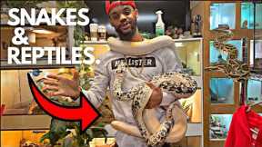 EXOTIC REPTILE STORE TOUR! I MEET KRONOS THE 100 POUND MONITOR LIZARD! 🤩🦎