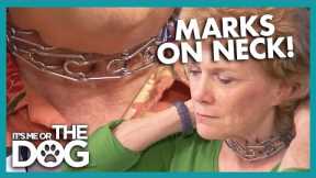 Owners Receive Their Dog’s Punishment with PRONG COLLAR |  | It's Me or The Dog
