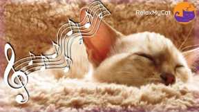 20 HOURS of Music Cats Love - Songs to Soothe Your Cat 🐱💖