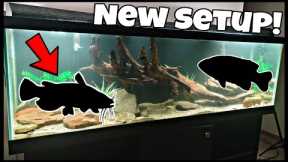 125 Gallon Fish Tank Setup! Freshwater NATIVE FISH Aquarium Build!