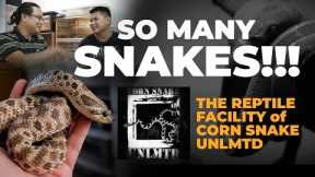 REPTILE PET ENTHUSIAST FACILITY VISIT // LEONMANE meets CORN SNAKE UNLMTD