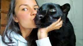 15 Cute Exotic Animals You Can Own as Pets !