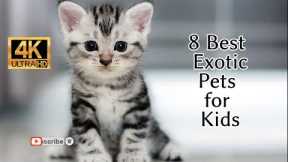 8 Best Exotic Pets for Kids 4K