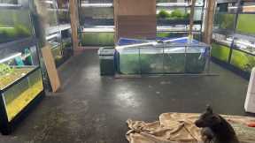 Friday Night Live Q&A Freshwater Aquarium Keeping Fish Shrimp and Plants