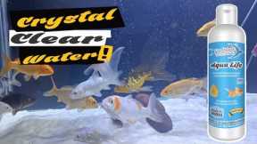 How To Create Beneficial Bacteria In Aquarium Fish Tanks | FeedWale Aqua Life