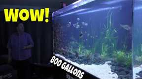 This 800 gallon Aquarium will Change the Way you Look at Monster Fish Tanks!