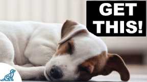 3 Wins You Need With Your Puppy EVERY NIGHT Before Bed!
