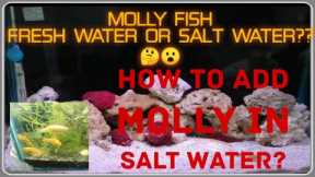 |How to add Molly fish to salt water tank? | Molly fish fresh water or salt water?|#Mollyfish