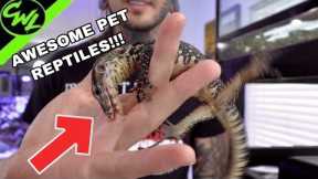 CRAZY EXOTIC PET LIZARDS!!!