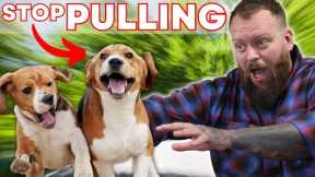 The Single FASTEST Way To STOP Your Dog Pulling On The Leash