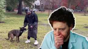 Ready to Bite? Dangerous and Horrifying Aggressive Dog Training Techniques by the Dog Daddy