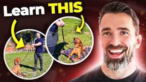 Teaching the Stay Command: Tips, Techniques, and Troubleshooting for Dog Owners