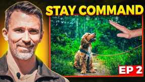 EASILY Teach Your Dog the STAY COMMAND!