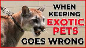 Part 2 - Exotic Pet Attacks – Pets attack Owners
