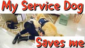 Service Dog Training // At Target
