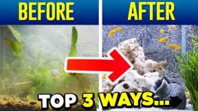Crystal Clear Aquarium Water - Top 3 Tips (SIMPLE)