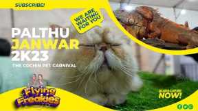 Palthu Janwar dog show | Persian Cats, Puppies, and Exotic Pets
