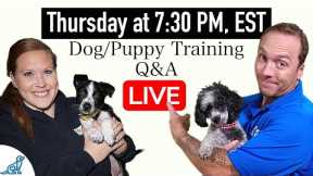 5 Tips That Will TOTALLY Change Your Dog Training