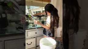 FISH TANK WATER CHANGE HACK!!! 🐠 #shorts