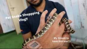 Pet Snake Shopping in MP!