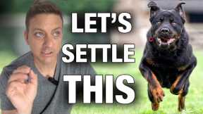 Is Exercising Your Dog a Mistake? Let’s Settle This.